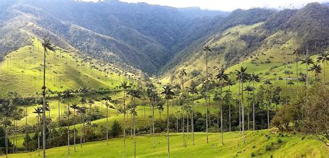  Beyond the Curse : A Colombian Adventure Story Brimming With Mystical Realism