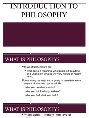  Questioning Reality: Exploring Ethiopian Philosophy Through Qualitative Inquiry in the Human Sciences